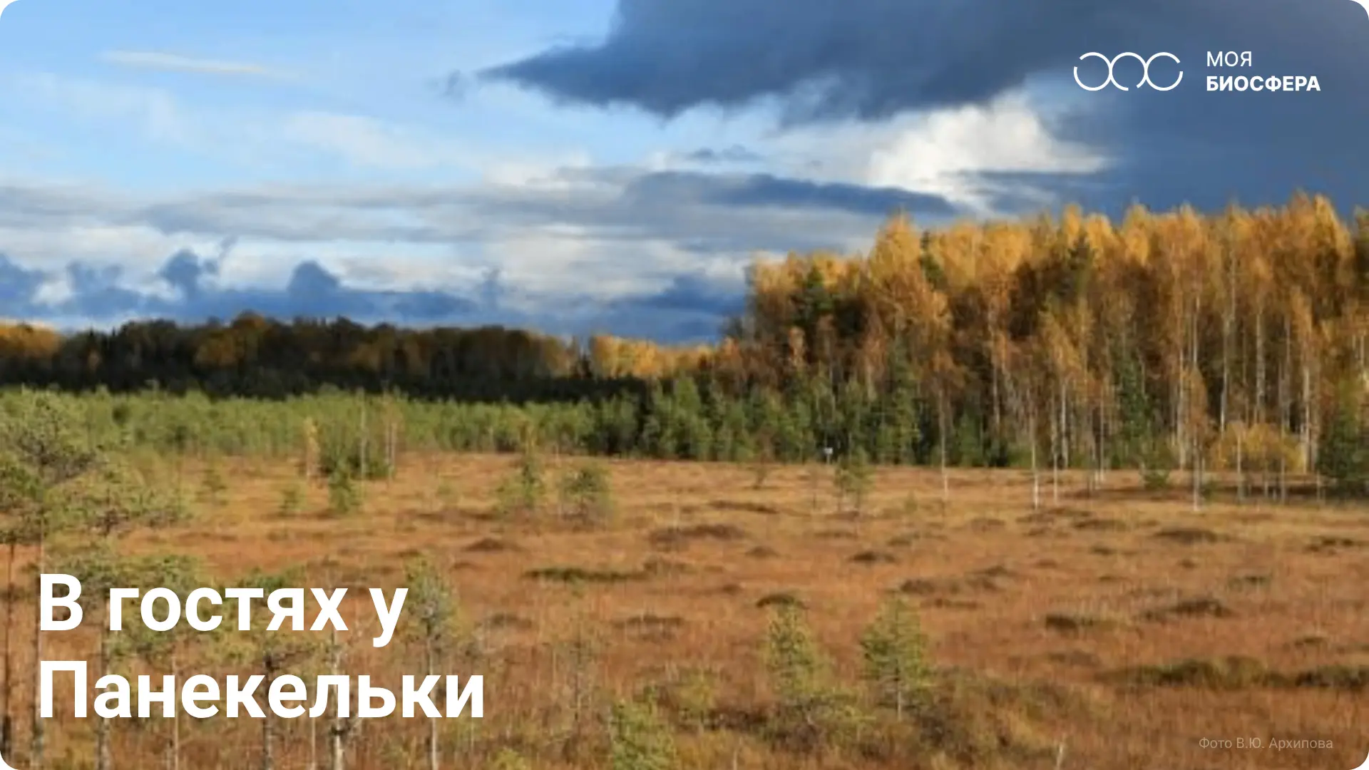 💔 Как влюбиться в болото