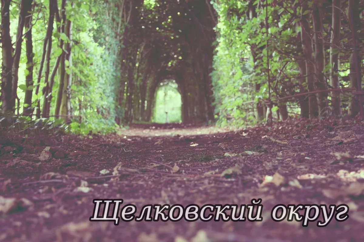 🗓 14.10.2026 года