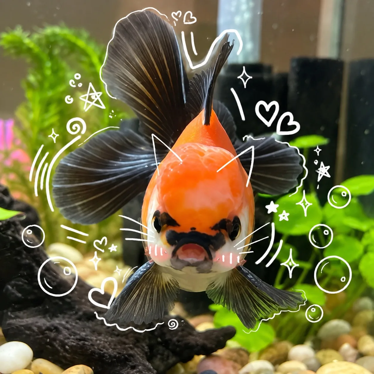 Авы с рыбками 🐡🐟🐠