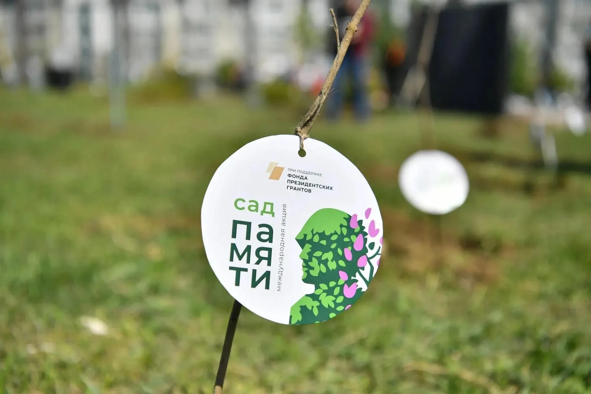 🌳 В области стартовала осенняя высадка лесов
