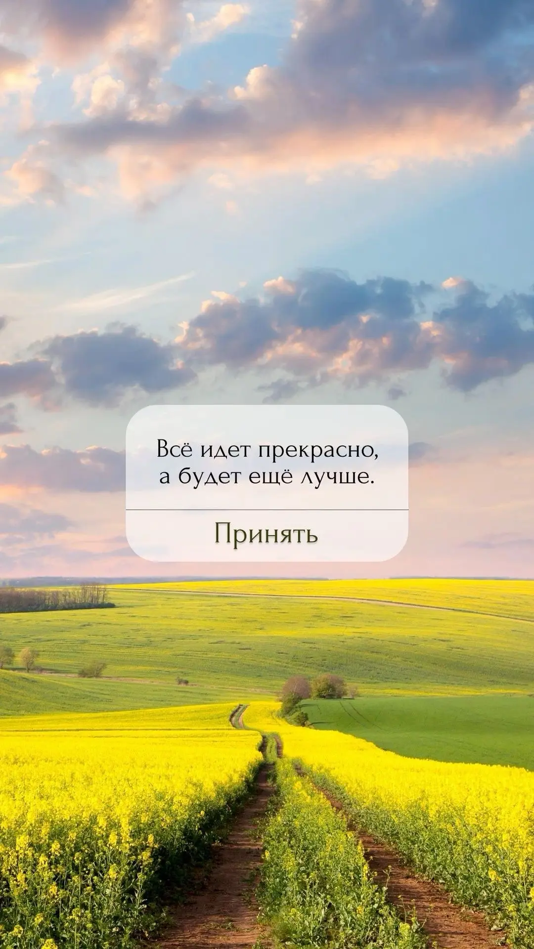 Вставай с благодарностью, действуй с уверенностью и помни: твоя жизнь меняется тогда, к...