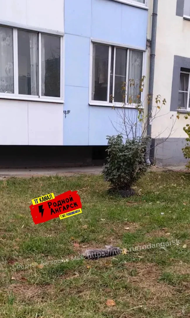 Родной Ангарск! 9.10.26 дополнение к посту с росыпанием отравы двух Ж в 29 микрарайоне,...