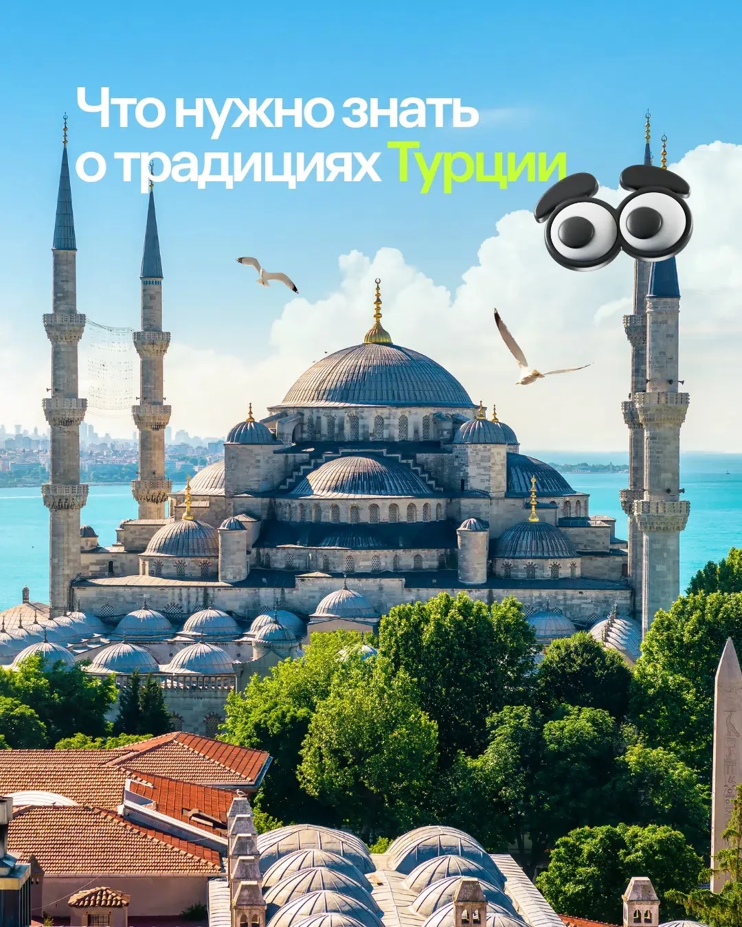 🙌 Если вы ездите в Турцию только в отпуск, то, наверное, не успеваете познакомиться с ...