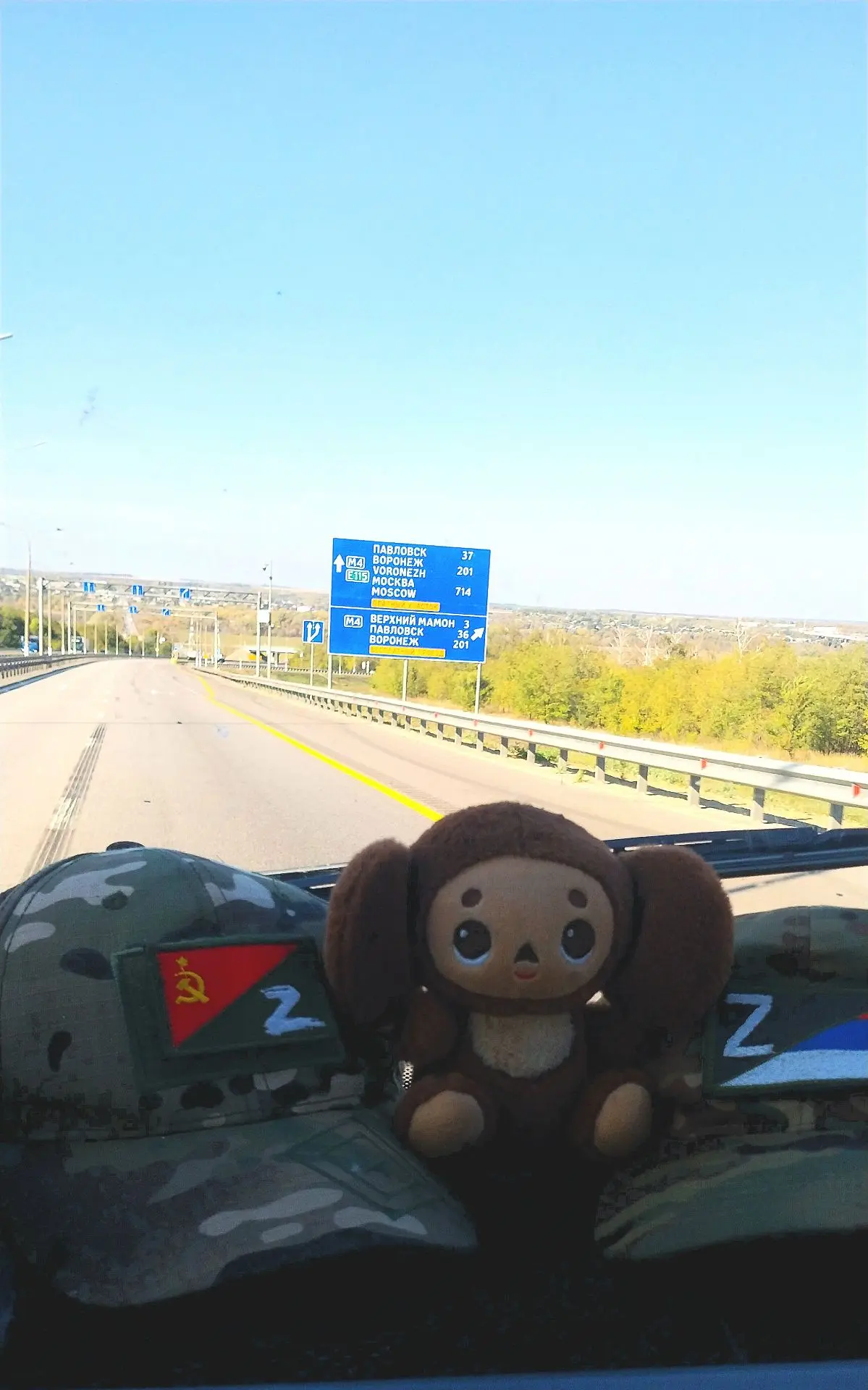 Воронежская область ✊️