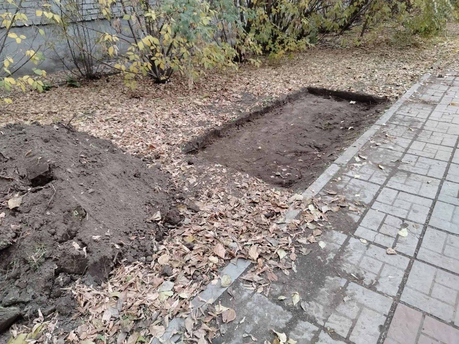 Что бы это значило