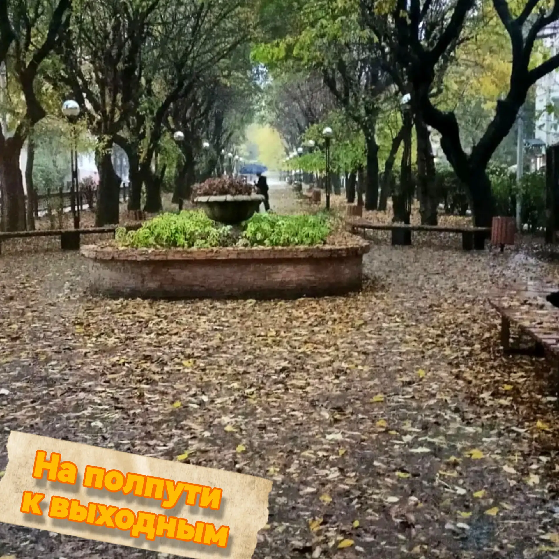 Доброе утро, Находка!☀️