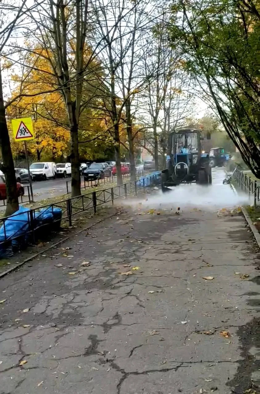 👏В Приморском районе продолжается месячник благоустройства
