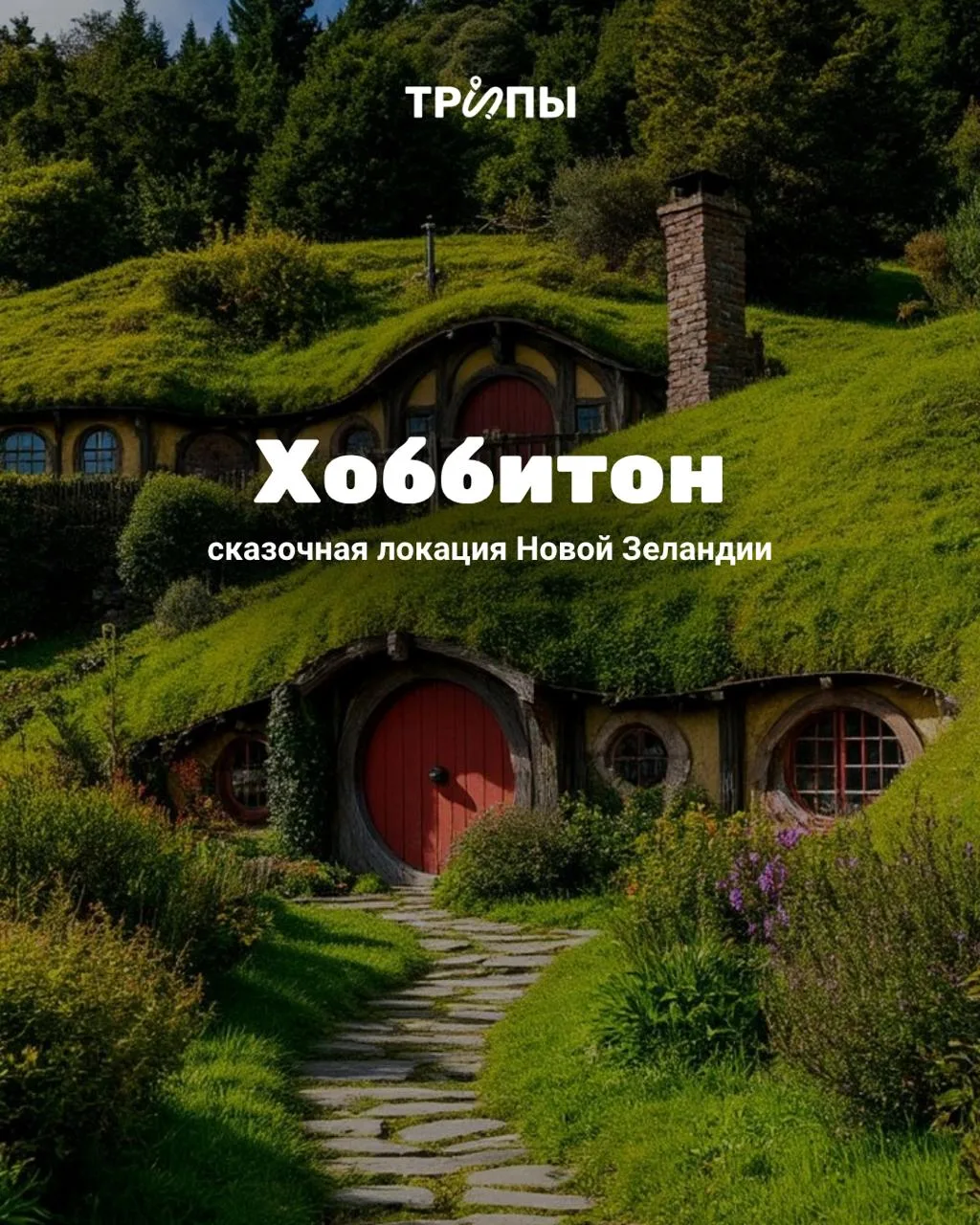 ✏️ «В земле была нора, а в норе жил хоббит. Нора была вовсе не грязная и совсем не сыра...