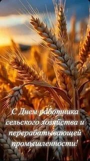 Дорогие труженики села, ветераны агропромышленного комплекса, уважаемые земляки, поздра...
