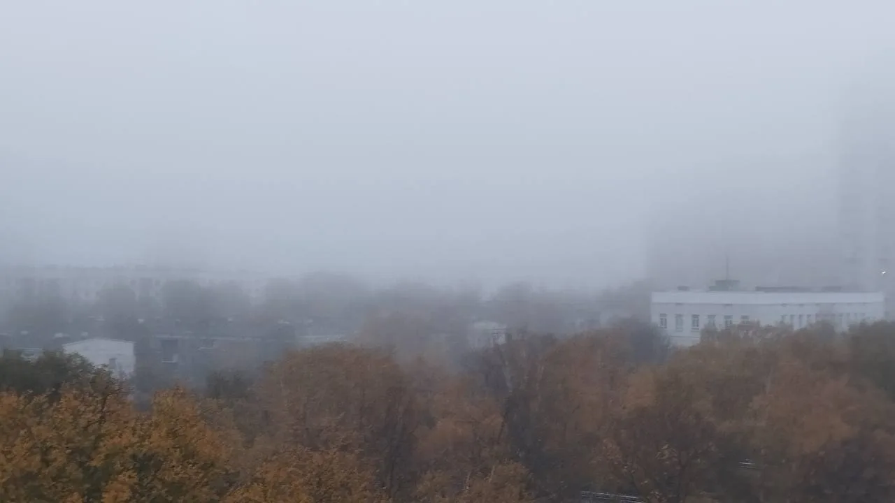 Туманное утро. Завораживает 😍