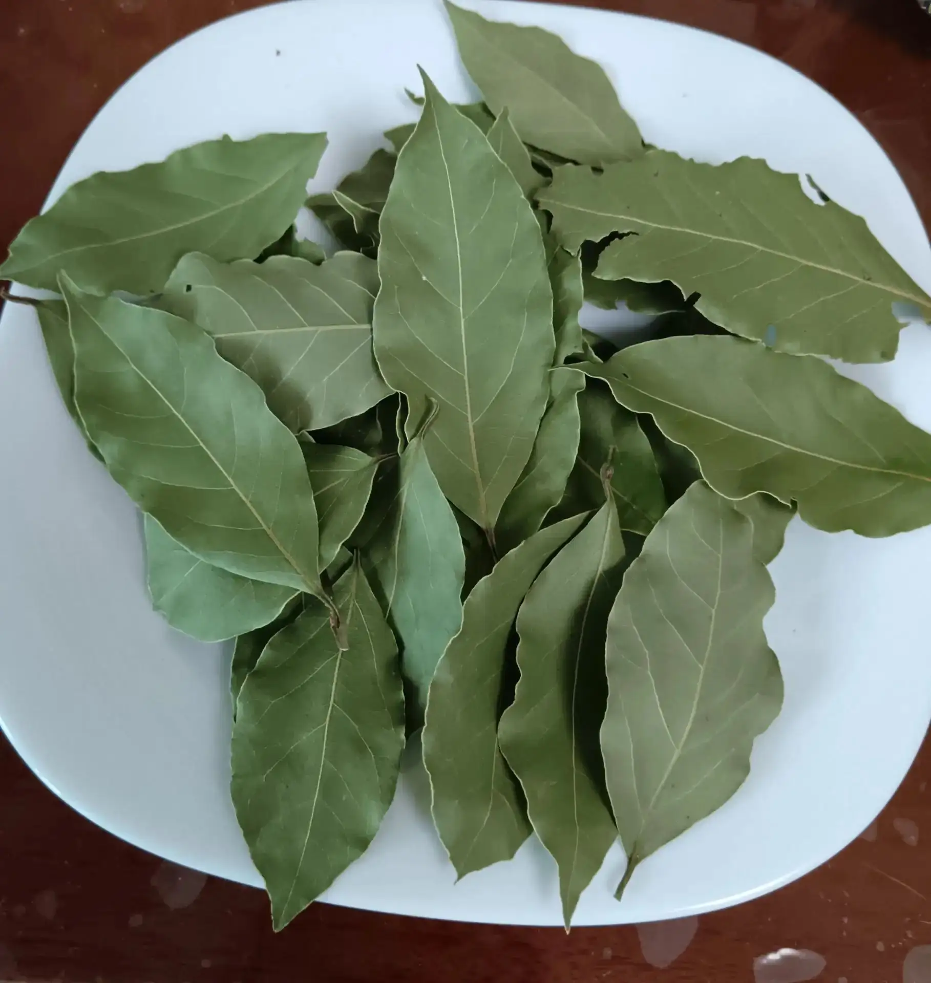 Продам свежие, ароматные лавровые листы из Абхазии. Цена 400 руб./100 гр. Самовывоз мкр...