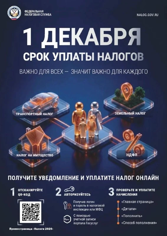 💰 Оплатить налоги за 2024 год нужно до 1 декабря