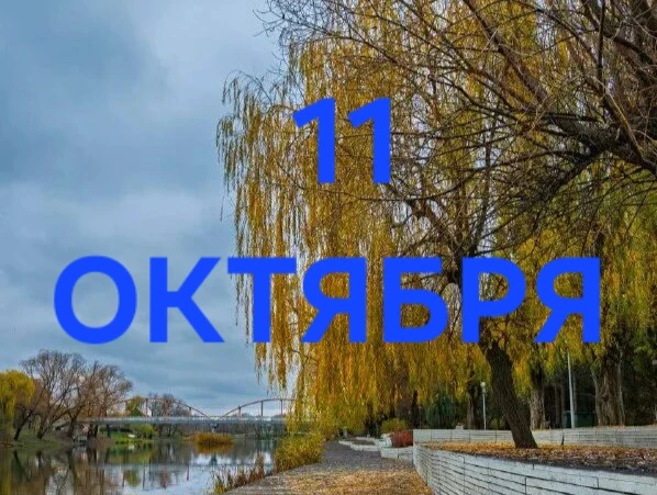 11 Октября: День порядка, дисциплины, собранности и сюрпризов 😎🎁🛍