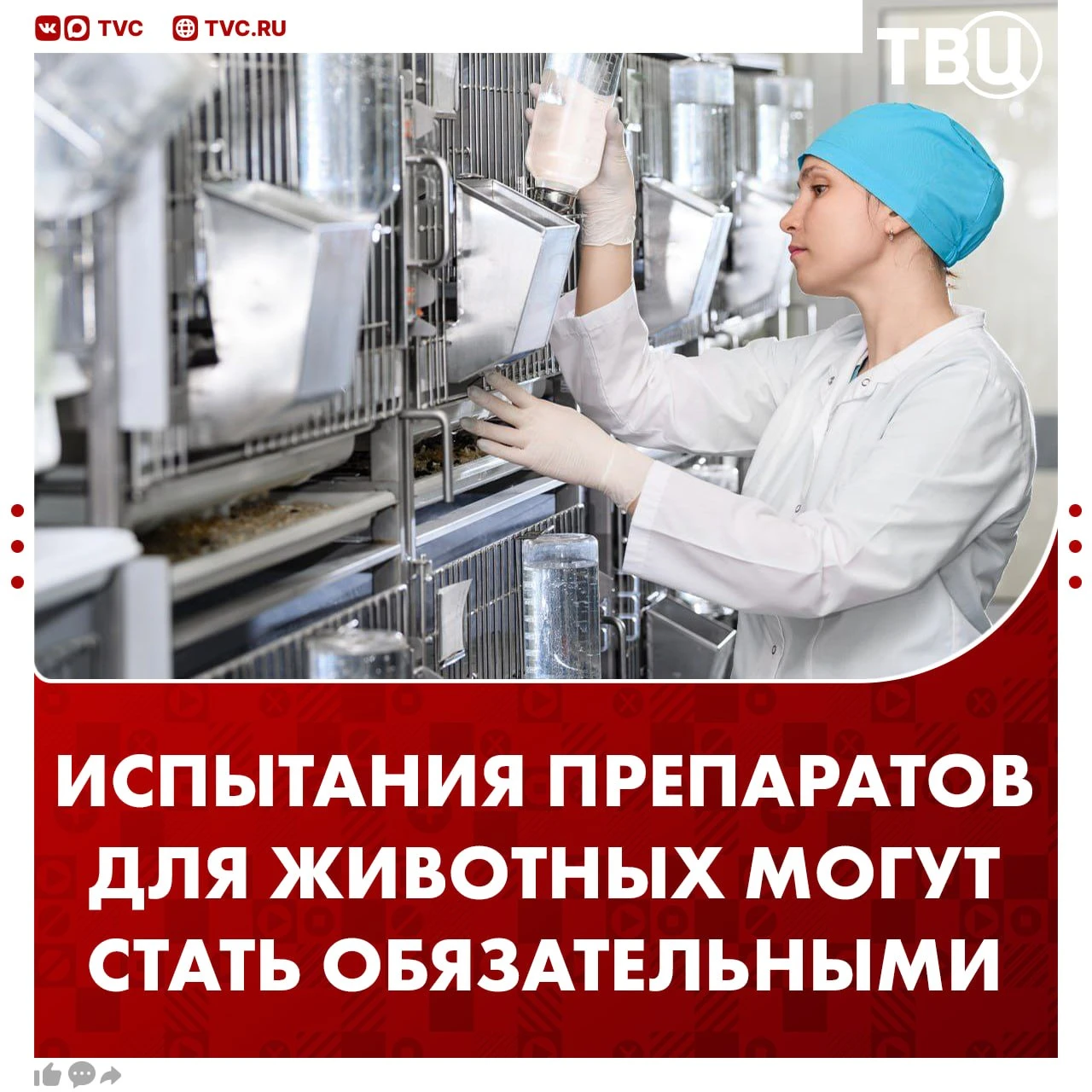 Проверку новых ветеринарных препаратов хотят сделать обязательной в России