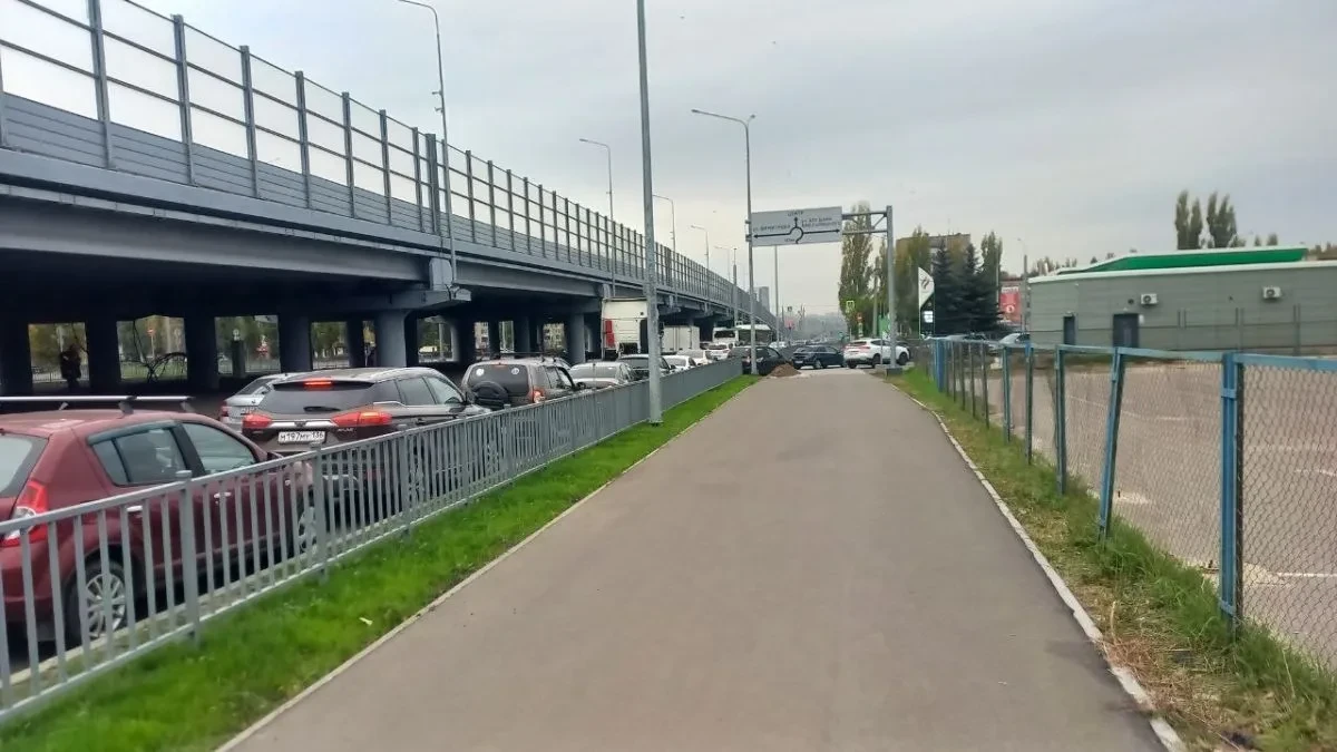 В Воронеже снова очереди на АЗС