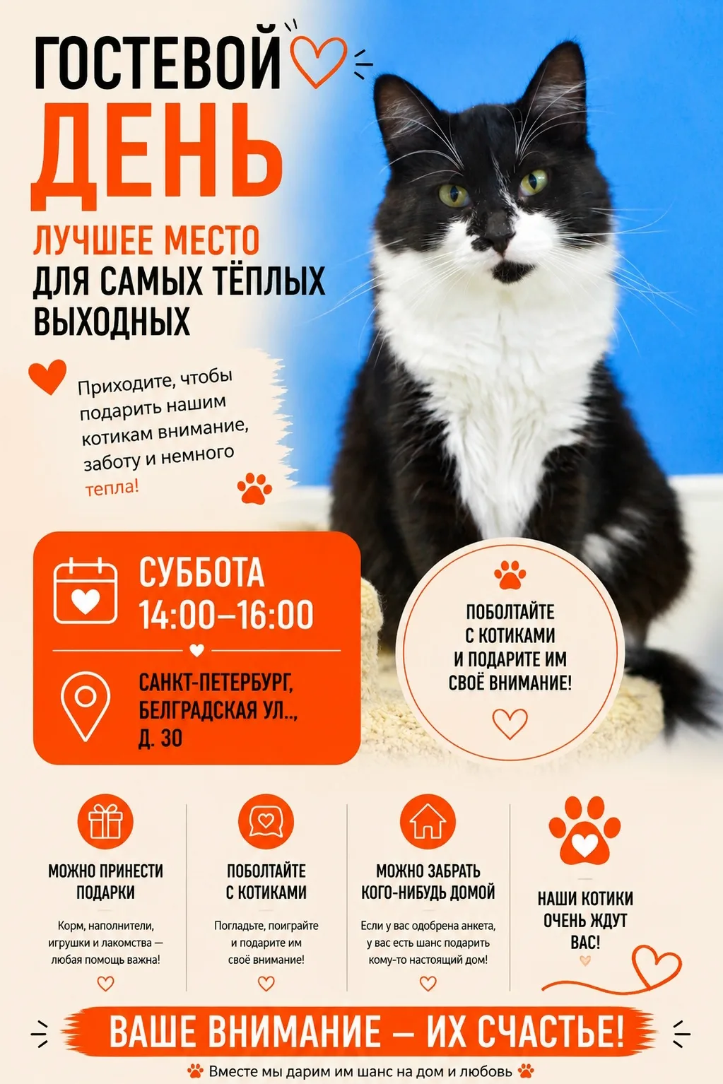 ✨Гостевой день✨