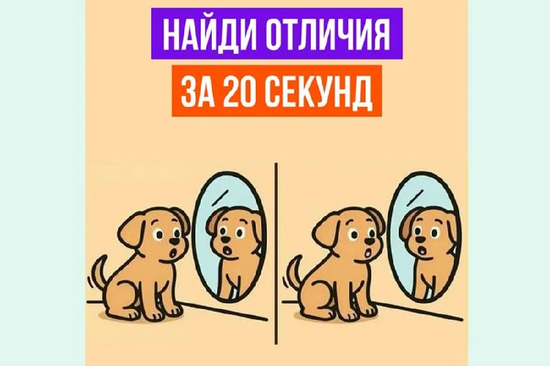 #Тренировкамозга  Отличия
