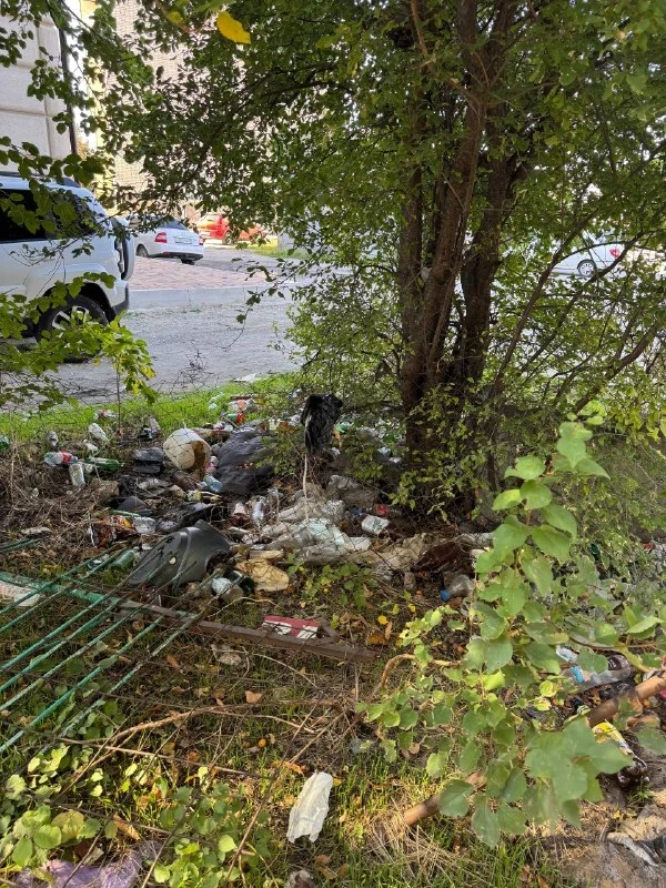 🌳 В мэрию Черкесска направили просьбу убрать мусор на Парковой, 110