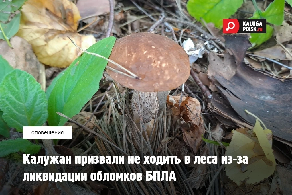 УФСБ России по Калужской области призывает жителей региона временно отказаться от поход...