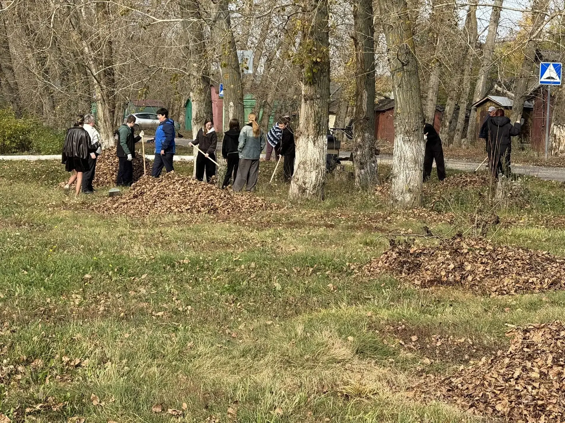 🌳 Экологический субботник в нашей школе: солнечный октябрьский день для добрых дел! 🌳