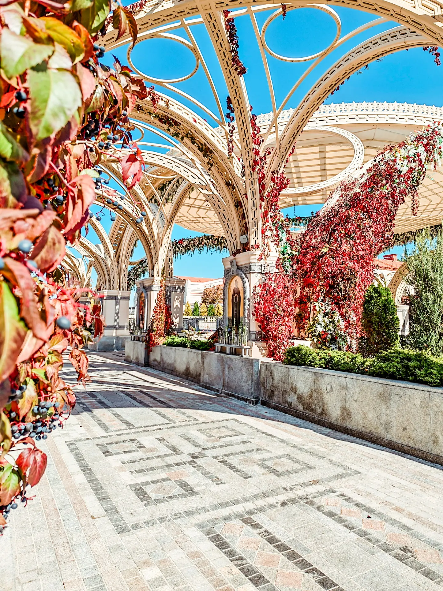 Осенняя прогулка по Новому Херсонесу в Севастополе🤩🍁