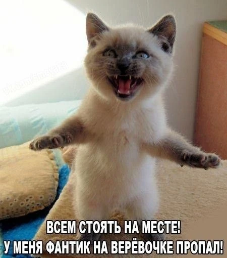 Всем стоять на месте! 😁