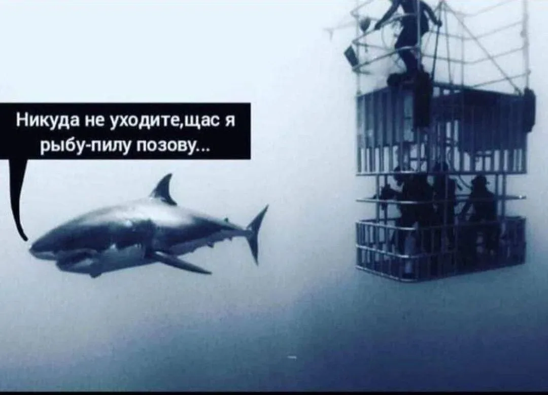 Немного юмора с утра