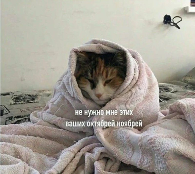 Оставшаяся половина октября в Кургане будет теплее обычного.