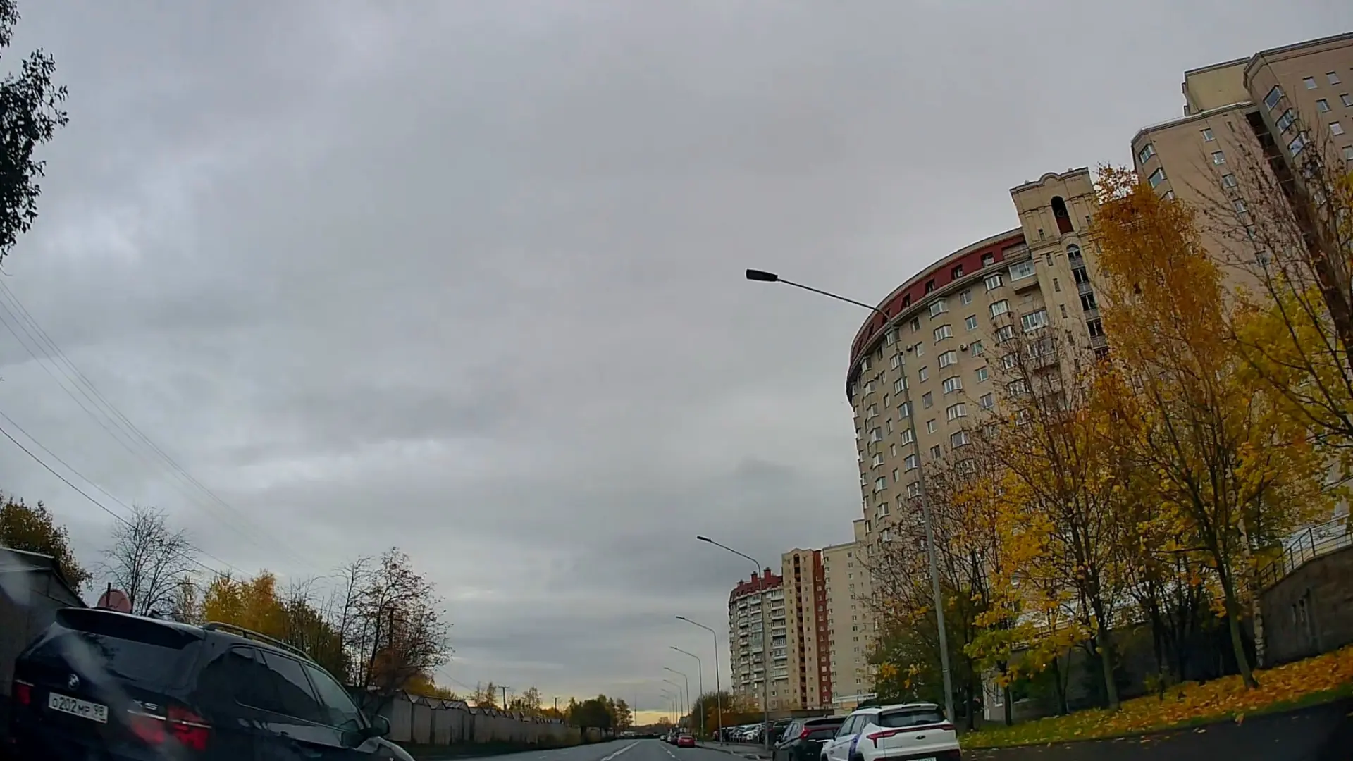 Василеостровский район
