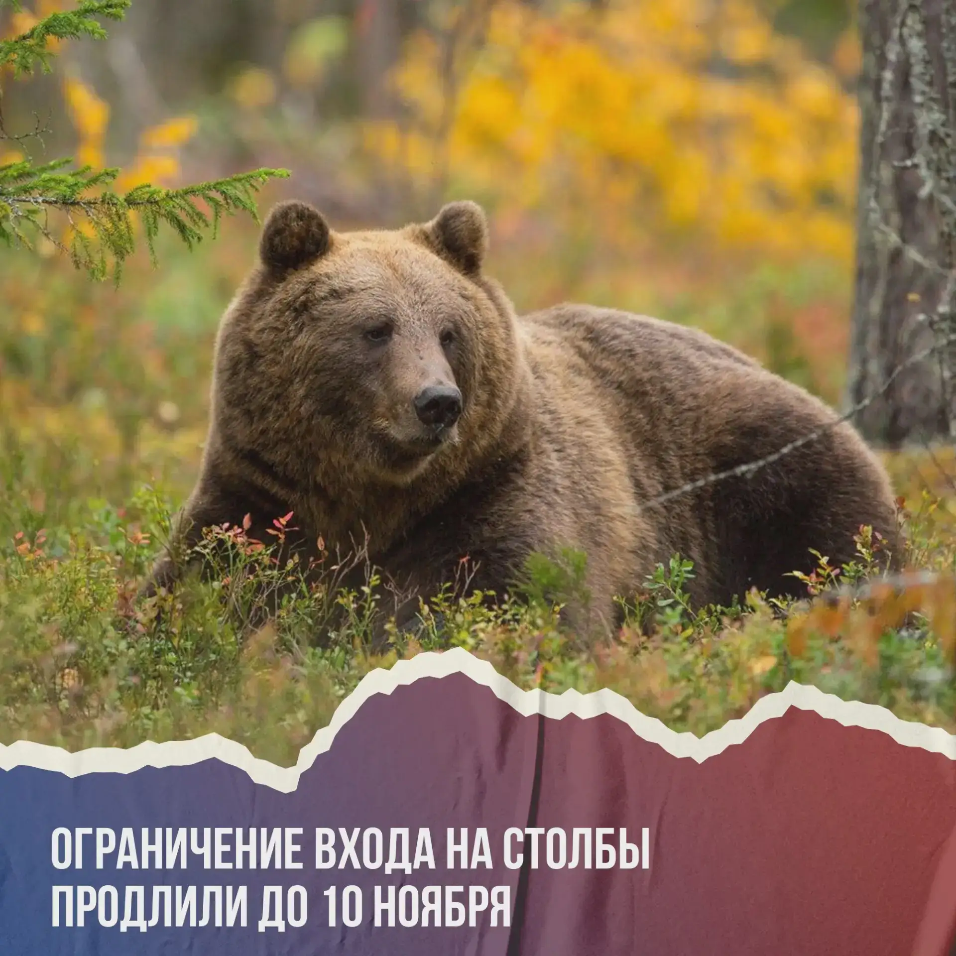 Посещение «Столбов» ограничено до 10 ноября