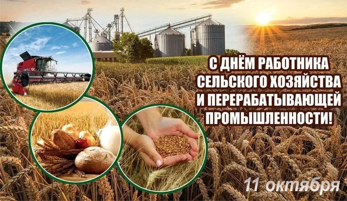🚜 С Днём работника сельского хозяйства и перерабатывающей промышленности, дорогие труж...