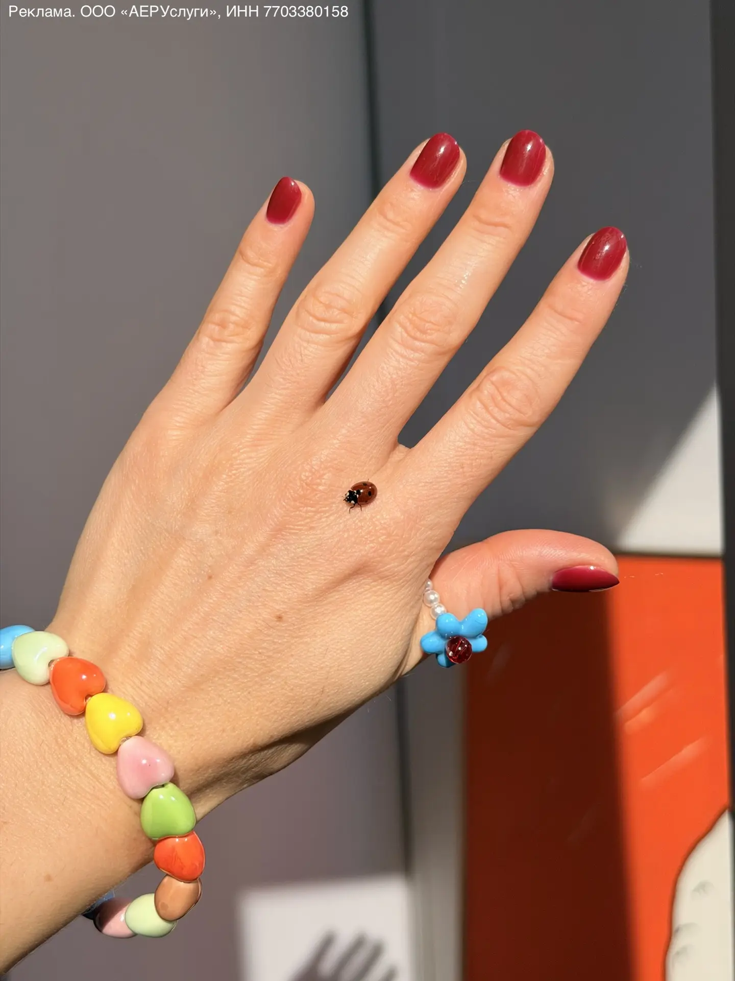 У меня было 15 секунд на фото божьей коровки и кольца за 154₽