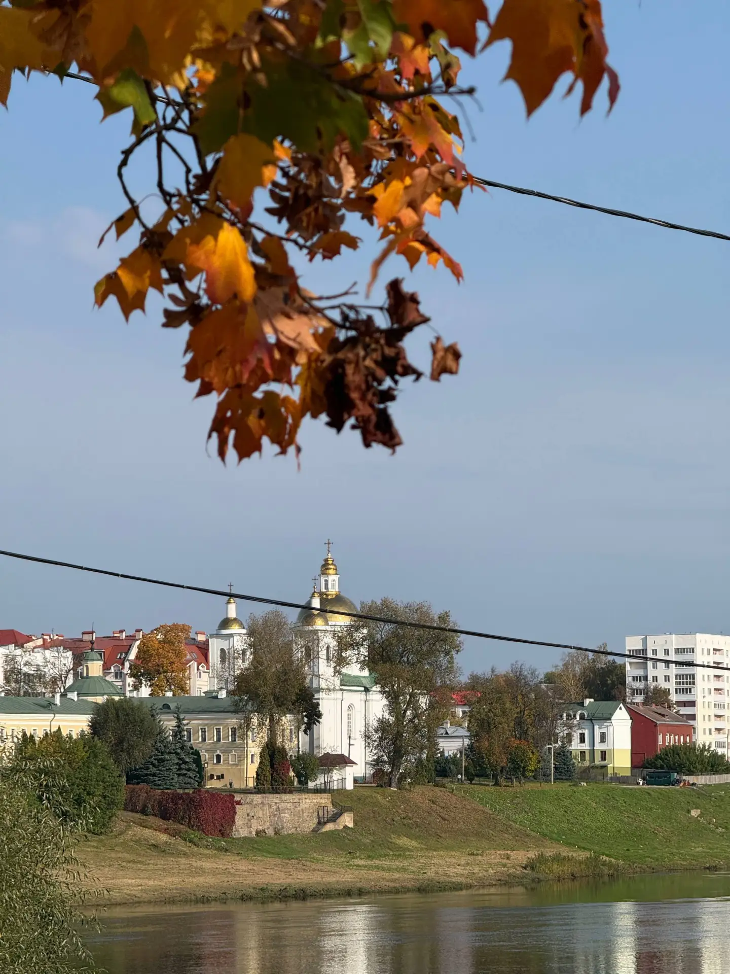 Поймать золотую осень 🍂 за хвост ✅