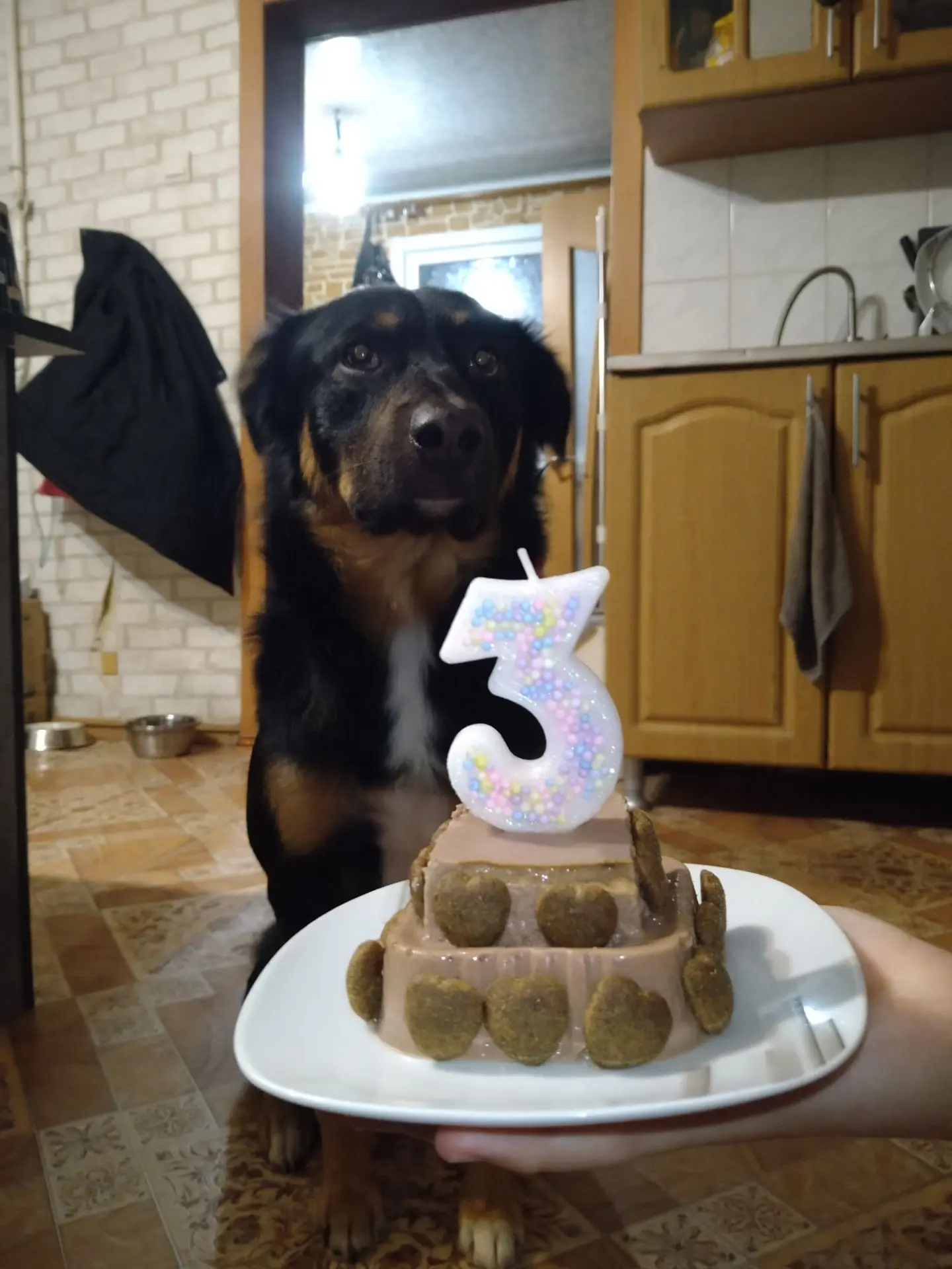 А у нас сегодня Арчи празднует день рождения 🥳🥳.