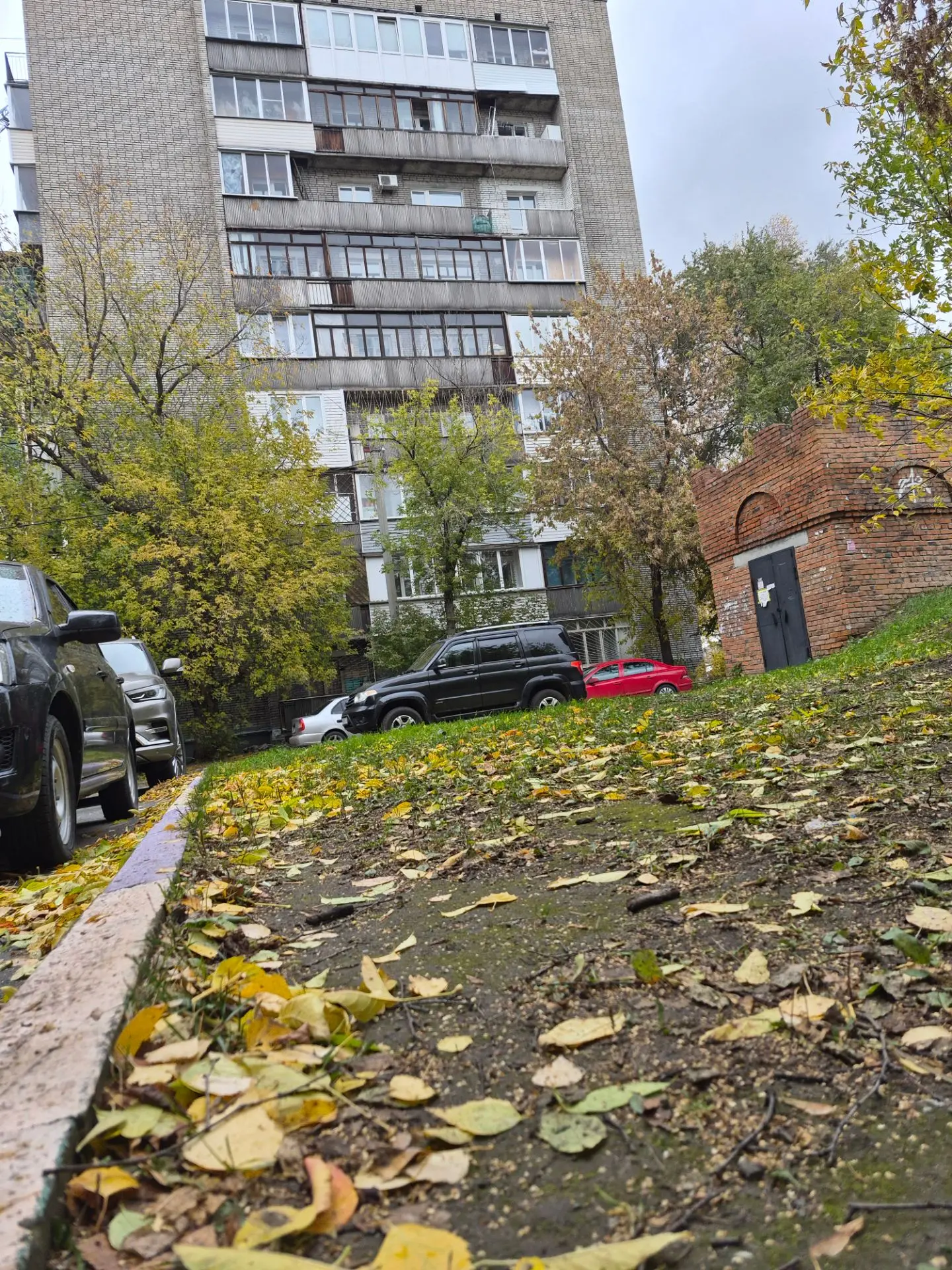 Осень, листья