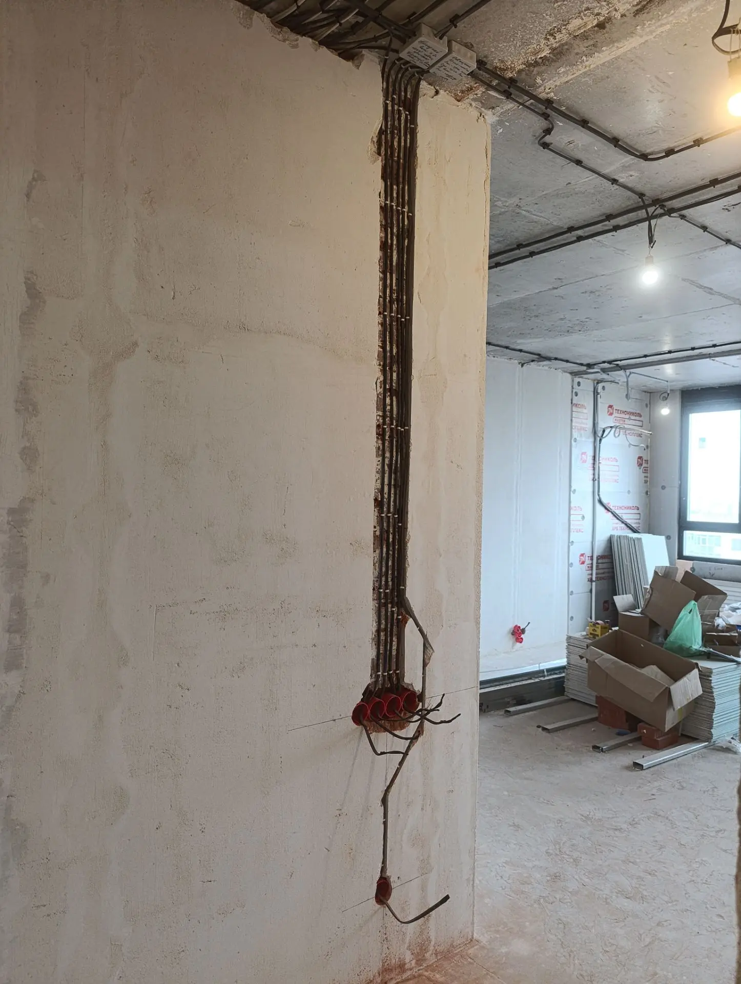 Фото