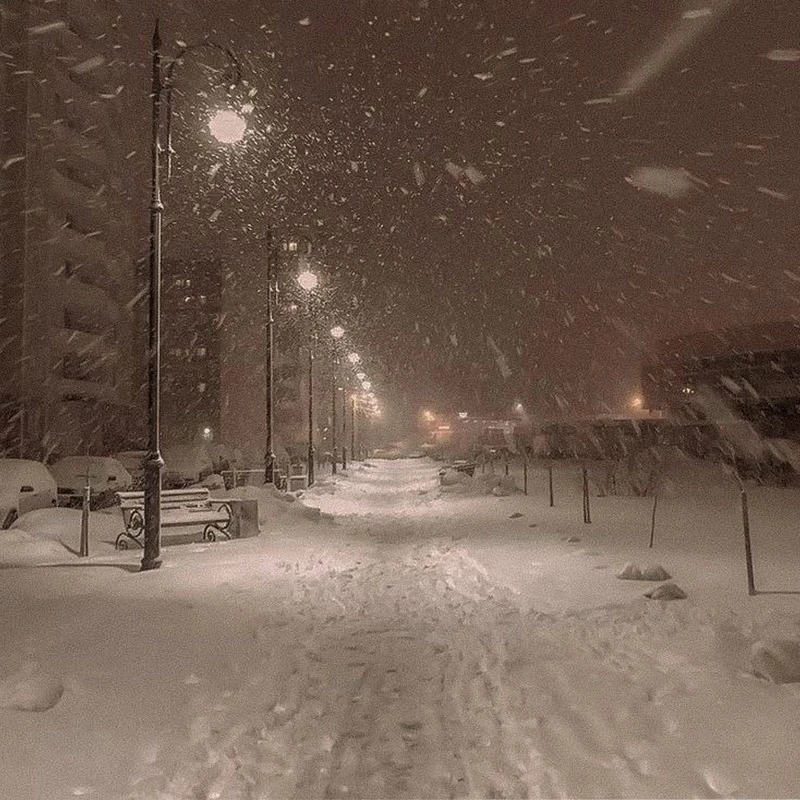 «Шнурочки»