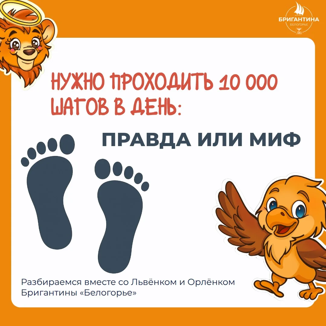 🚶 Правда ли нужно ходить 10 000 шагов в день?