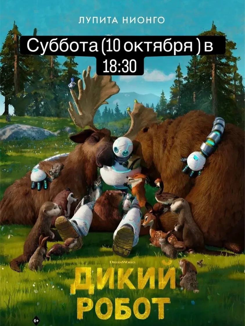 Кинопоказы в  BIRDWATCHING CAFFE’