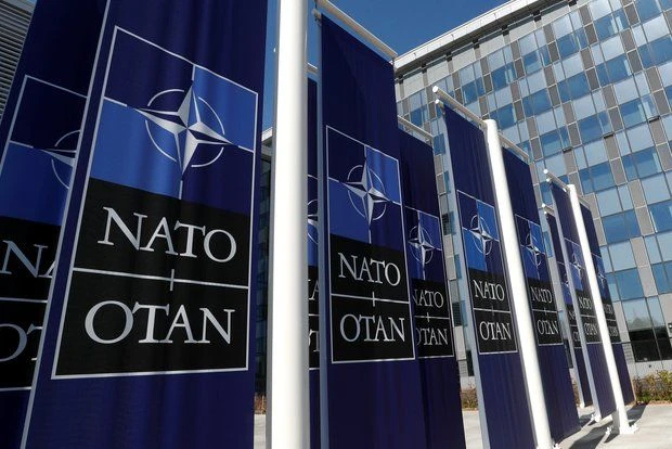 Rapporteur: Болгария и Румыния готовят письмо НАТО из-за атак БПЛА в Черном море
