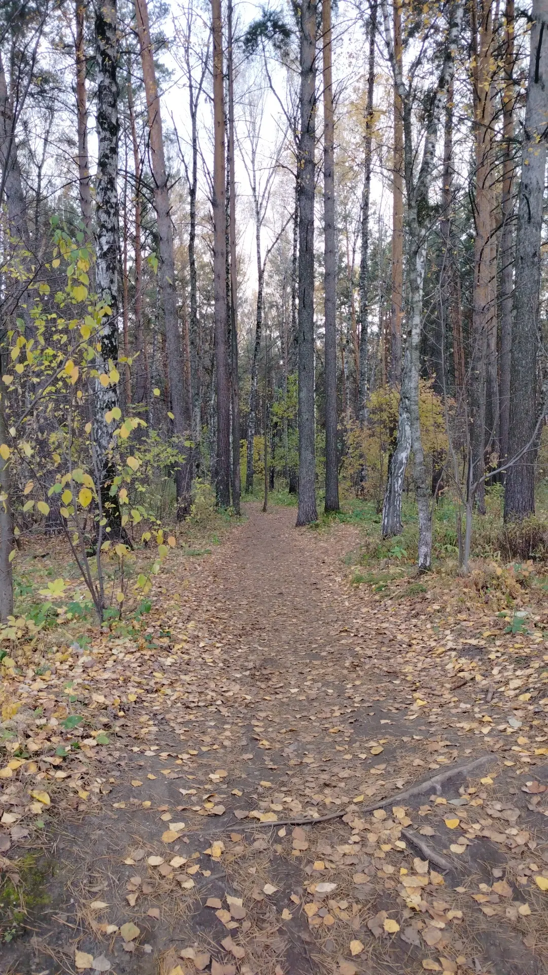 Всем доброе осеннее, хоть и пасмурное утро) не теряйте меня 🤗 у меня перезагрузка 👇