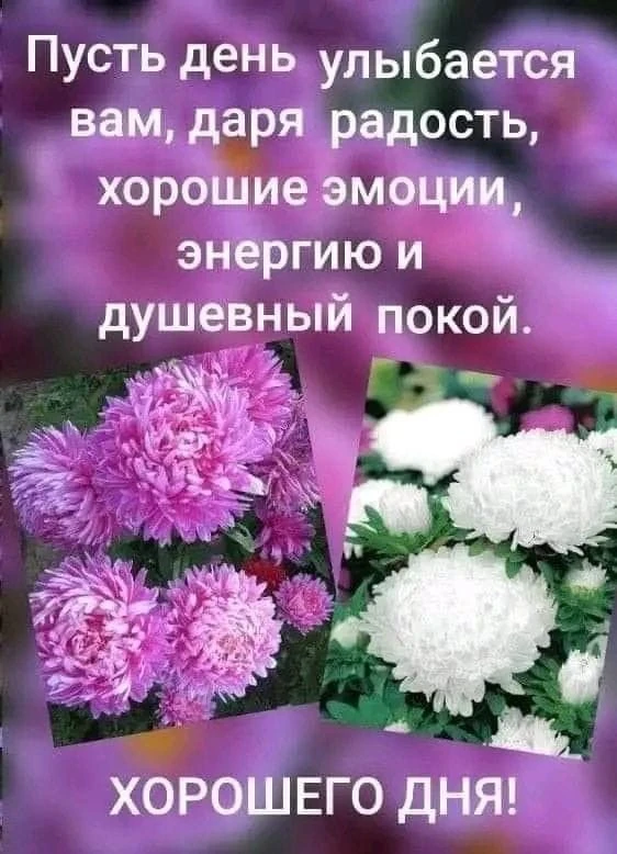 самые лучшие