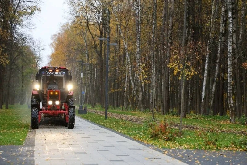 🌳 Парк «Авангард» готовится к зиме