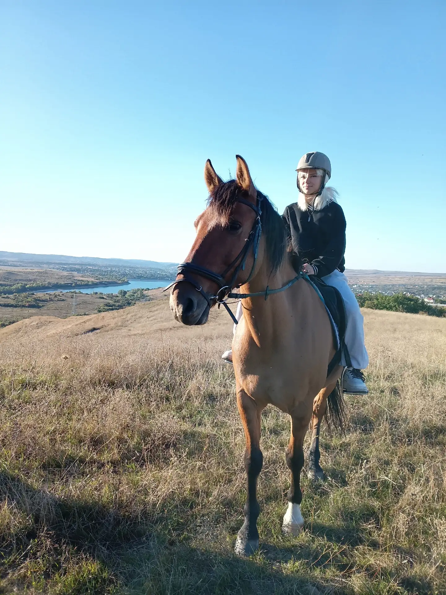 Забрались на Ведьмину гору с чудесной юной компанией 🐎