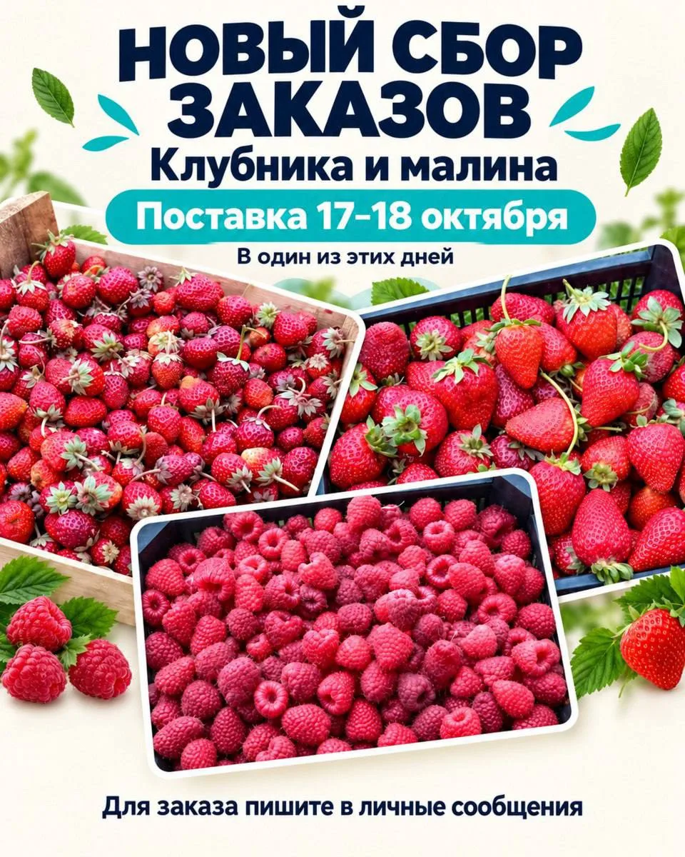 🍓 Ещё одна ягодная встреча этой осенью - открываем новый сбор заказов!