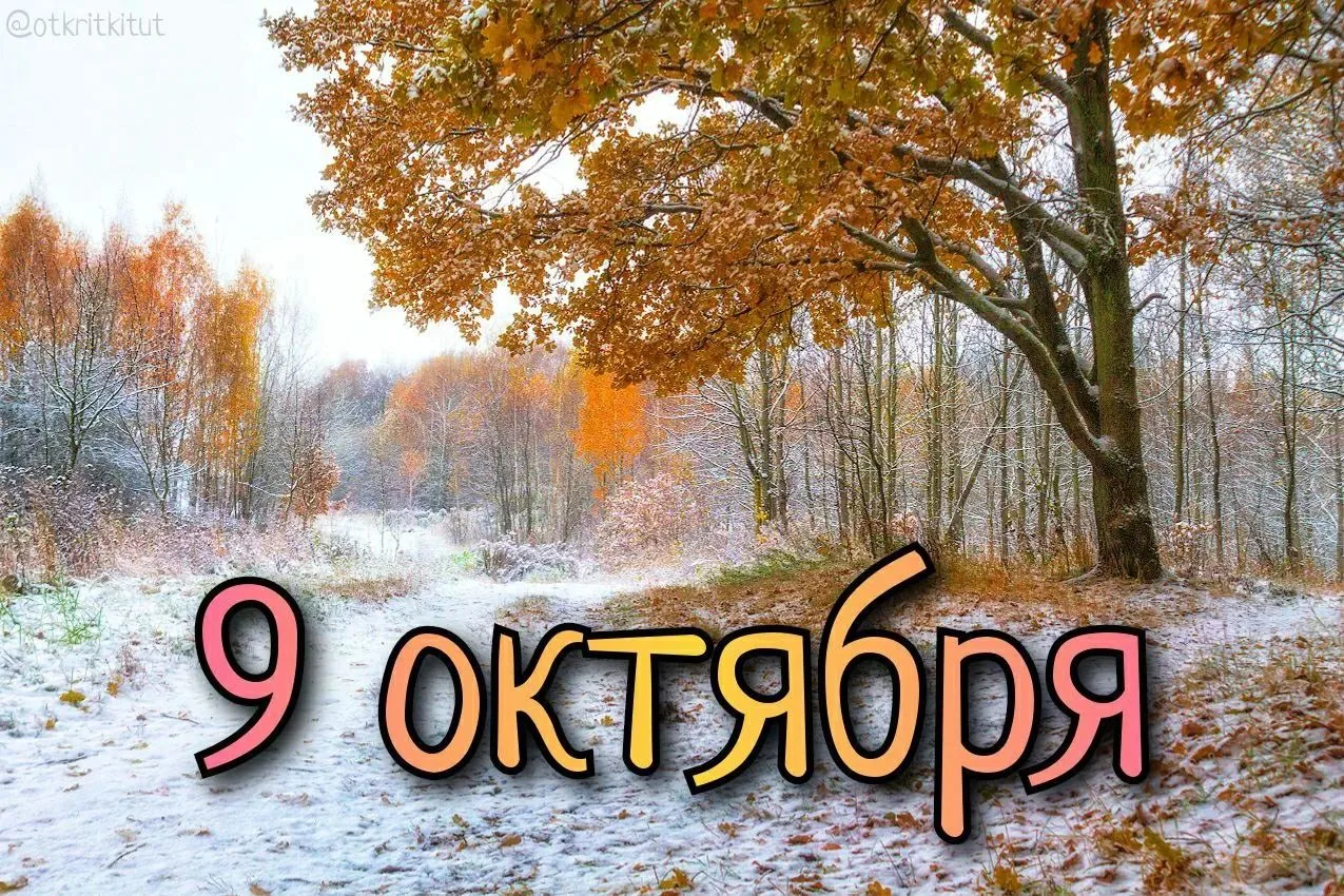 Праздники 9 октября 🗓️