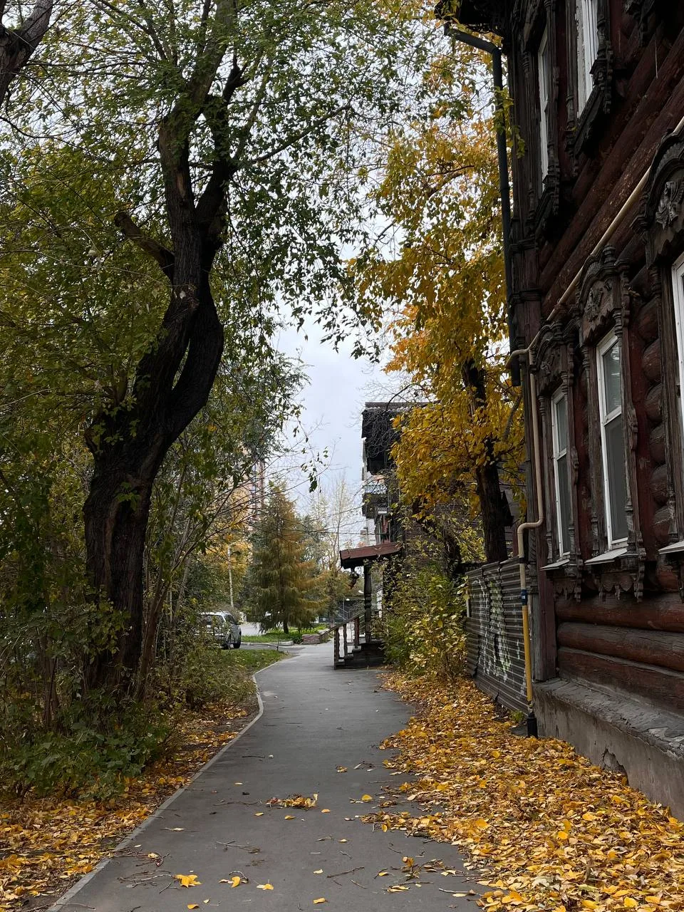🌦️ Доброе утро! Пятница обещает быть дождливой в Алтайском крае