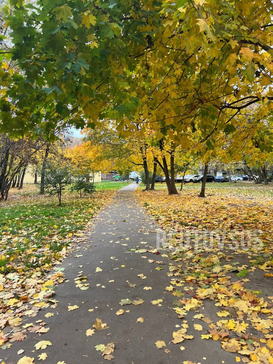Осень в Реутове