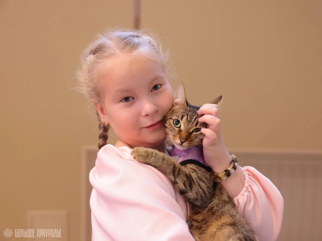 🐈 Выставка кошек прошла в Лабытнанги