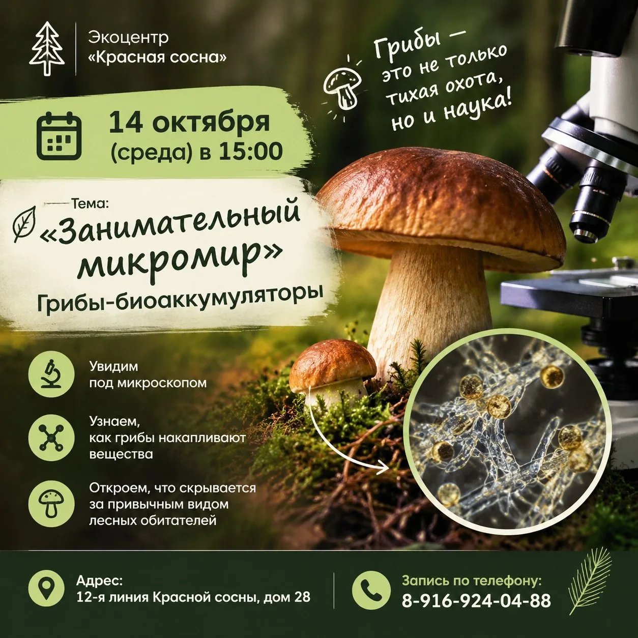 🍄 Грибы — это не только тихая охота, но и наука!